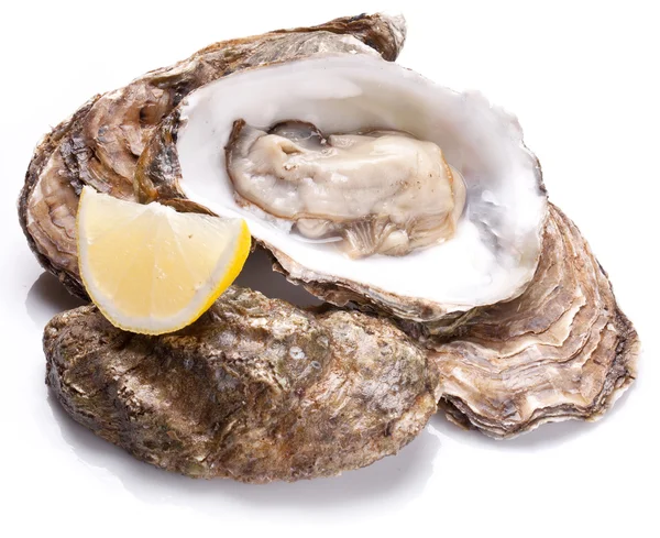 Raw oyster and lemon on a whte background. — Stock Photo, Image