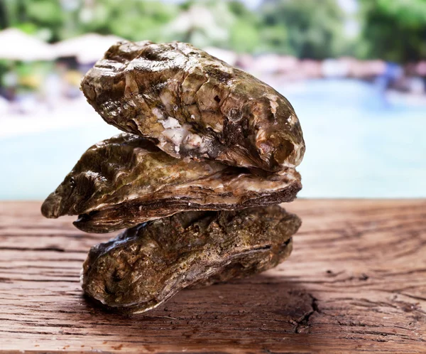 Ostrica cruda su legno. Mare sullo sfondo . — Foto Stock