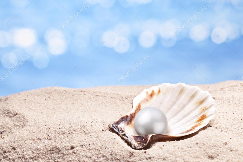 Shell with a pearl.