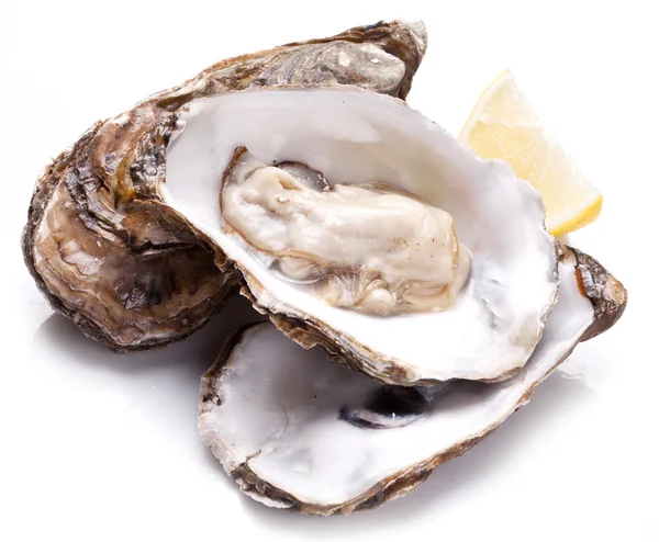 Raw oyster on a whte background. — Stock Photo, Image