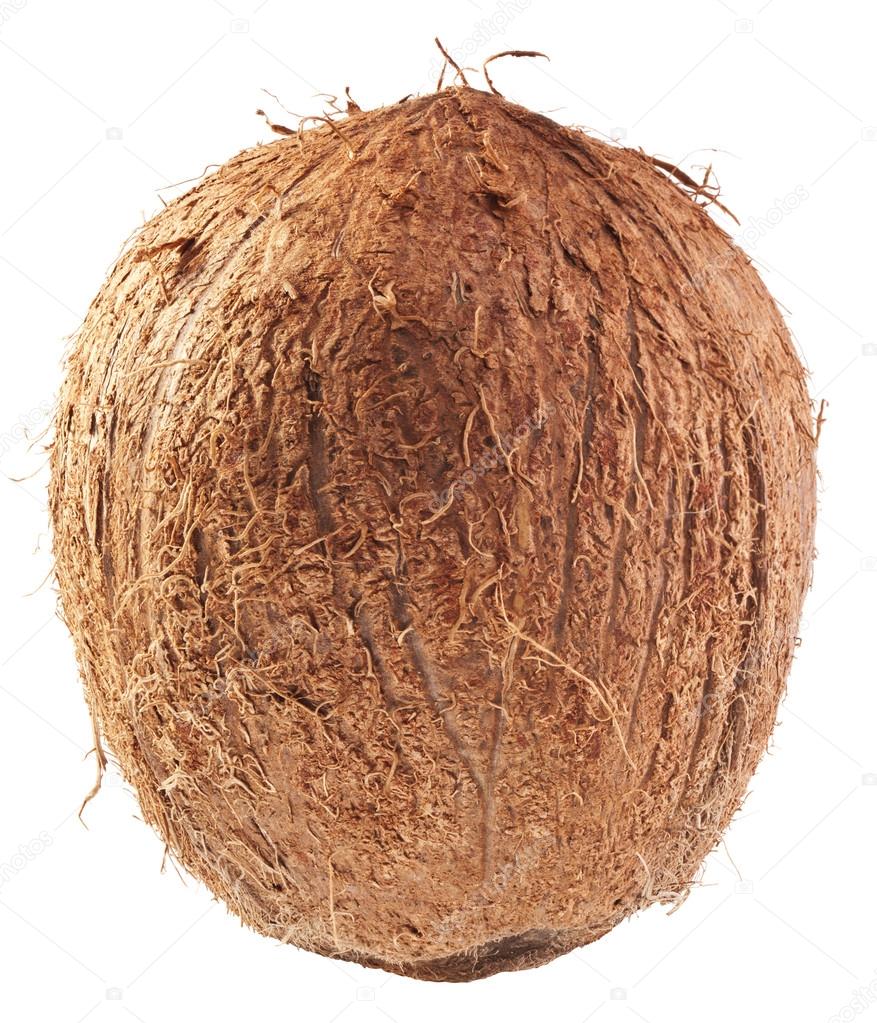 Coconut isolated on a white background. 