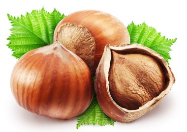 Hazelnuts with leaves on a white background. clipart