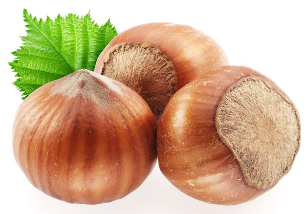 Hazelnuts with leaves on a white background. — Stock Photo, Image