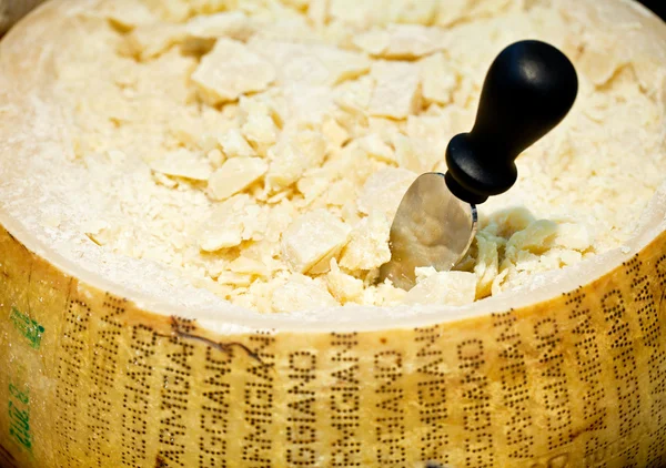 Parmesan cheese (head) close with knife. — Stock Photo, Image