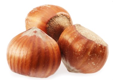 Beyaz zemin üzerinde üç fındık.