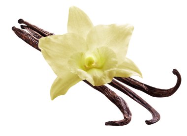 Grup vanilya çubukları ve beyaz arka plan üzerinde orkide çiçek. F