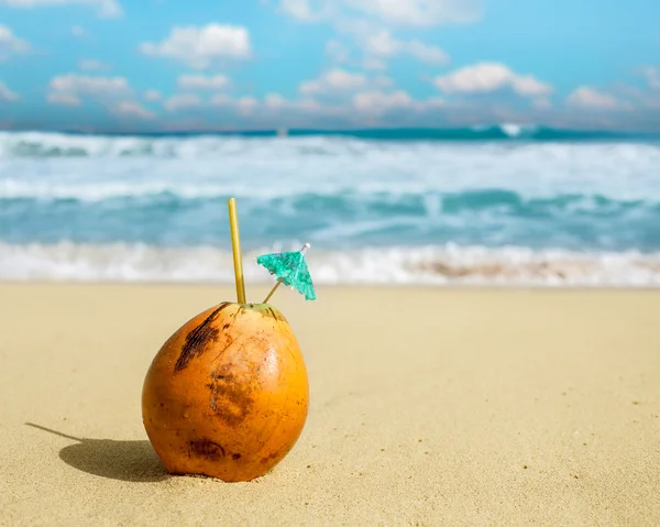 Kokosnuss im Sand. — Stockfoto