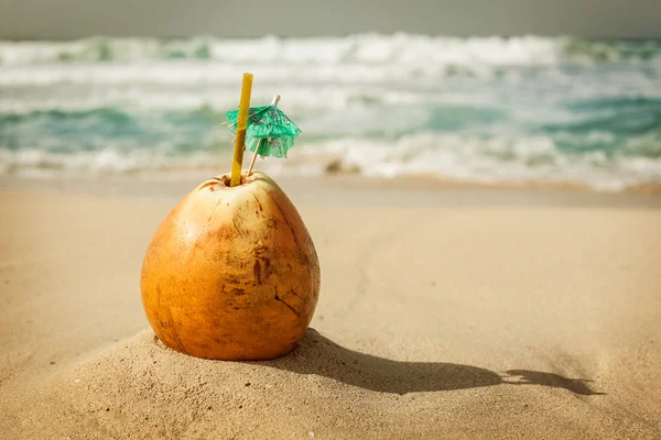 Kokos w piasku. — Zdjęcie stockowe