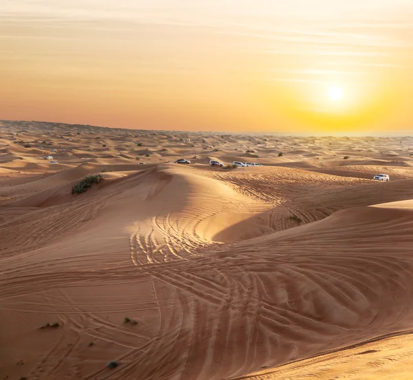 Sundown in desert. — Stock Photo, Image