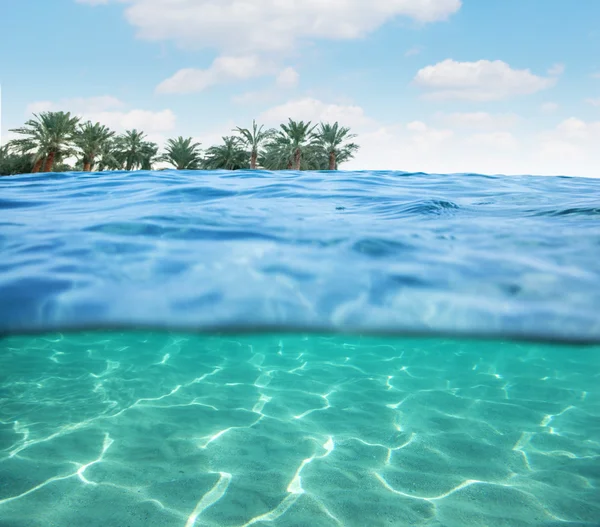 Fondo marino cerca de la costa . — Foto de Stock