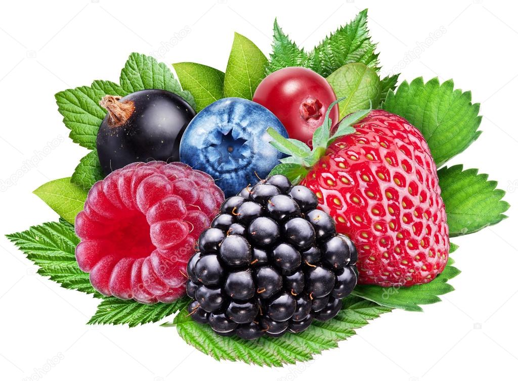 Berries on a white background. File contains clipping paths.