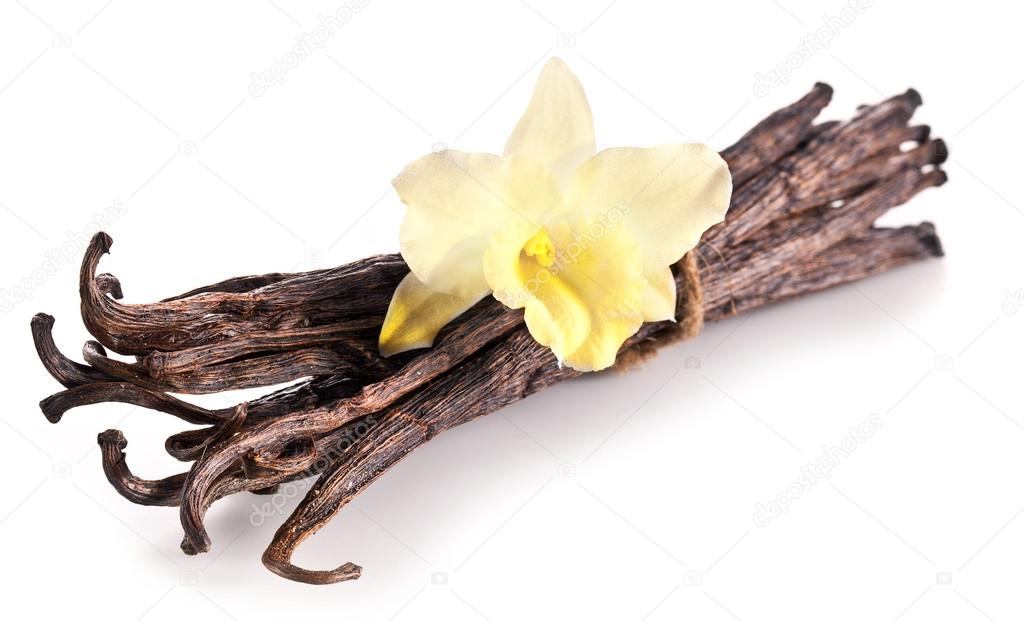 Bunch of vanilla sticks and orchid flower on white background.