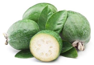 Feijoa beyaz zemin üzerine.