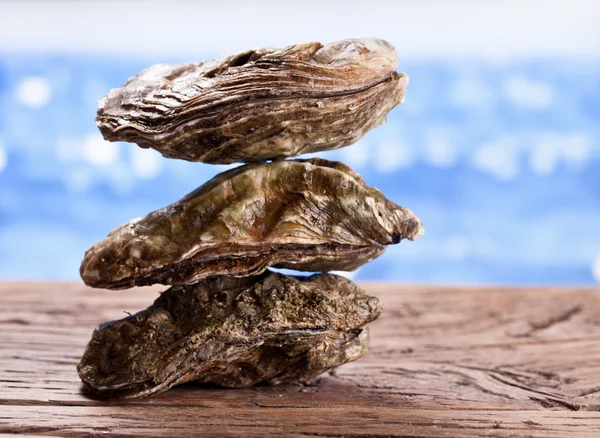 Rauwe oesters op hout. Zee op de achtergrond. — Stockfoto