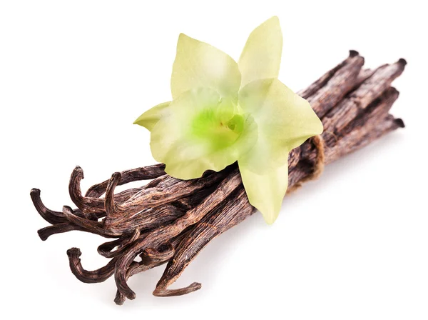 Bando de palitos de baunilha e flor de orquídea no fundo branco . — Fotografia de Stock