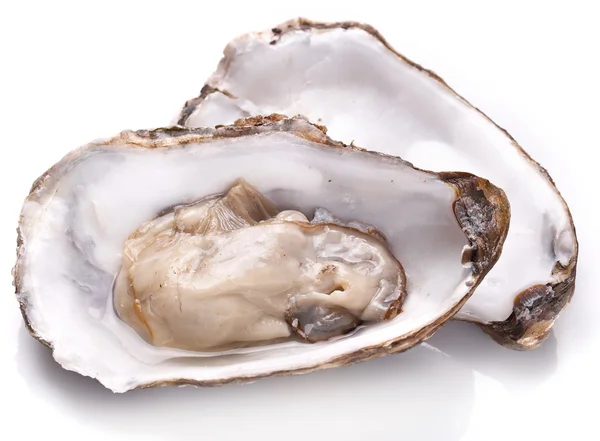 Raw oyster on a whte background. — Stock Photo, Image