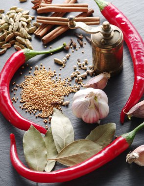 Süper tablo farklı baharatlar.