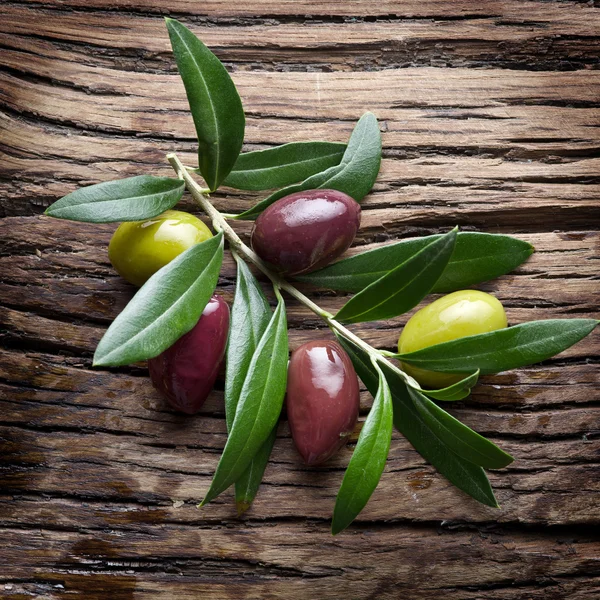 Zeytin dal eski ahşap tablo. — Stok fotoğraf