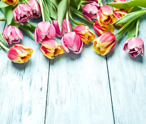 Tulipanes rosados y rojos sobre fondo de madera . — Foto de Stock