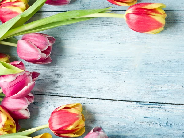 Tulipani rosa e rossi su fondo di legno . — Foto Stock
