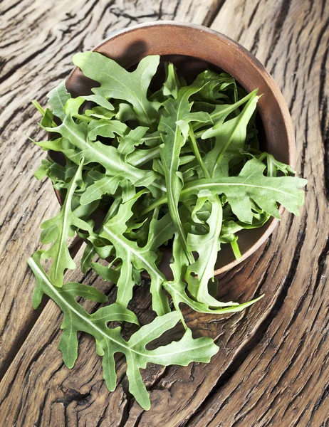 Arugula  herb. — Stock Photo, Image