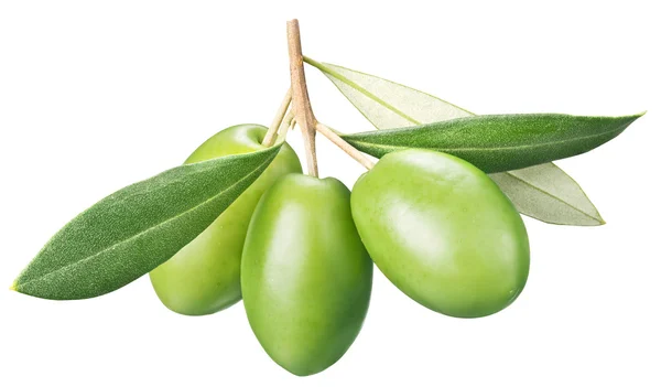 Aceitunas verdes con hojas sobre fondo blanco. —  Fotos de Stock