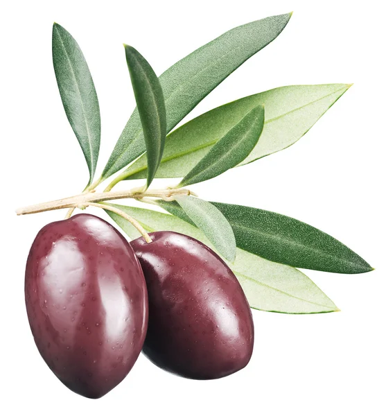 Kalamata-Oliven mit Blättern auf weißem Hintergrund. — Stockfoto