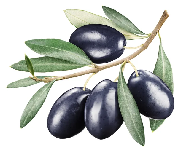 Aceitunas negras con hojas sobre fondo blanco . — Foto de Stock