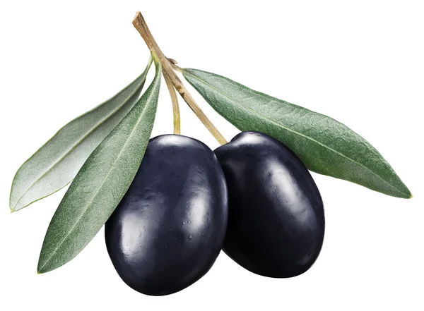 Svarta oliver med blad på vit bakgrund. — Stockfoto