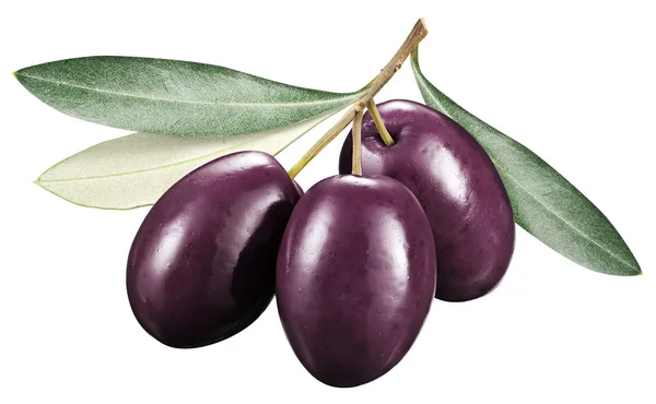 Olive Kalamata con foglie su sfondo bianco . — Foto Stock