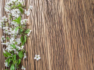 Eski ahşap masa üzerinde kiraz dal çiçek.