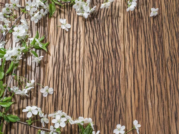 Kwitnące gałązki wiśni nad starym drewnianym stole. — Zdjęcie stockowe