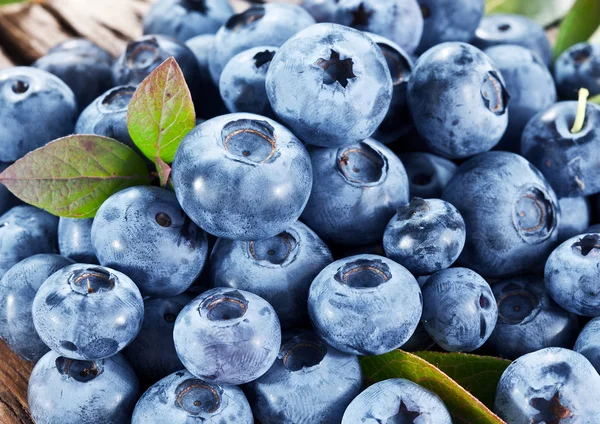 Ripe blueberries - food background. Macro shot. — Stock Photo, Image