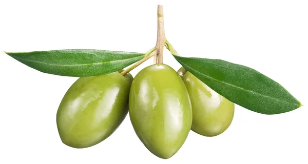 Aceitunas verdes con hojas sobre fondo blanco. — Foto de Stock