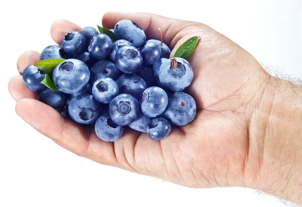 Blueberries in the man's hand over white. — Stock Photo, Image