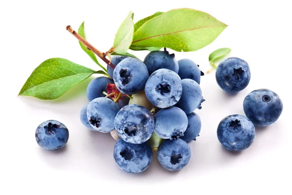 Blaubeeren mit Blättern auf weißem Hintergrund. — Stockfoto