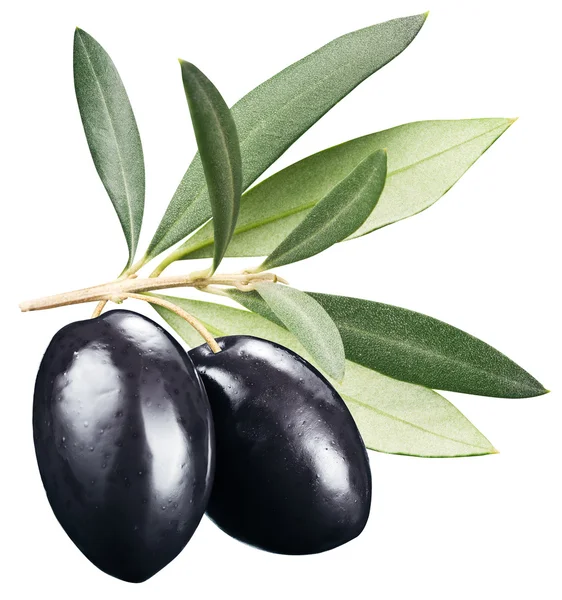 Black olives with leaves on a white background. — Stock Photo, Image