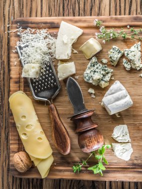 Farklı türleri ile fındık ve otlar peynir.