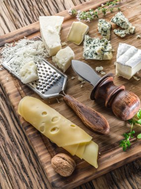 Farklı türleri ile fındık ve otlar peynir.