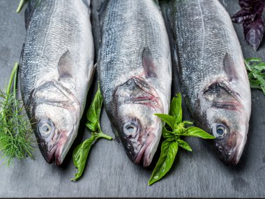 Baharat ve otlar ile bir grafit tahtada levrek.