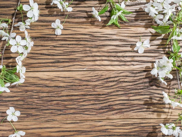 Brindille cerise fleurie sur une vieille table en bois . — Photo