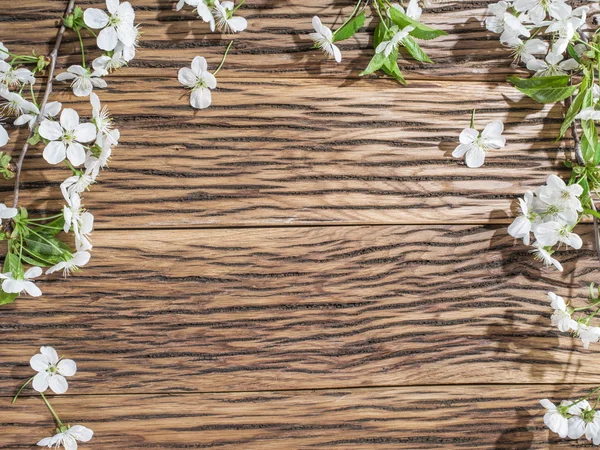 Brindille cerise fleurie sur une vieille table en bois . — Photo