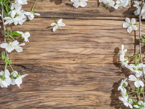 Квітуча вишнева гілка над старим дерев'яним столом . — стокове фото