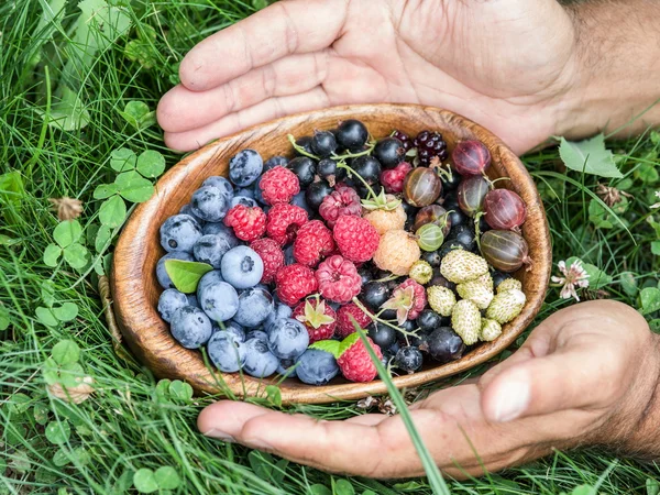 Ripe berries in the wooden bowl over green grass. — Stock Photo, Image