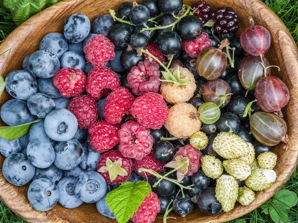 Ripe berries in the wooden bowl over green grass. — Stock Photo, Image