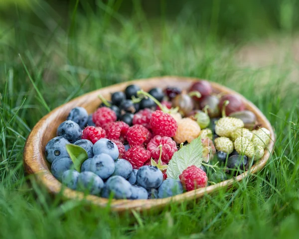 Ripe berries in the wooden bowl over green grass. — Stock Photo, Image