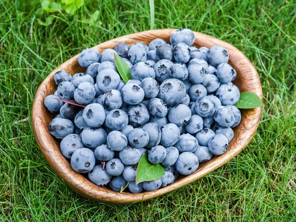 成熟的蓝莓在绿草上的木碗. — 图库照片
