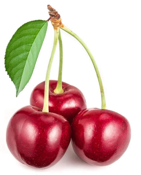 三成熟的红樱桃，在白色的背景. — 图库照片