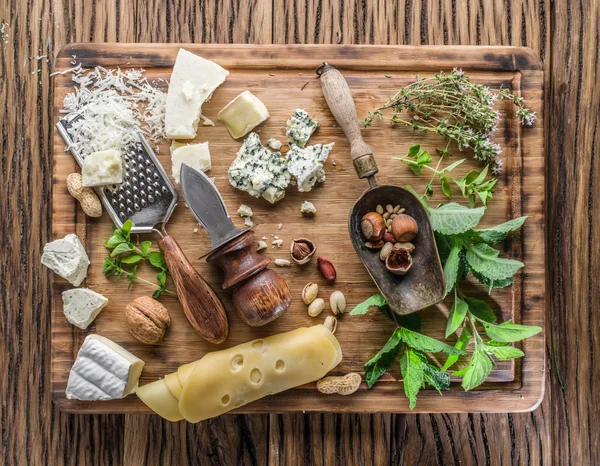 Verschillende soorten kaas met noten en kruiden. — Stockfoto