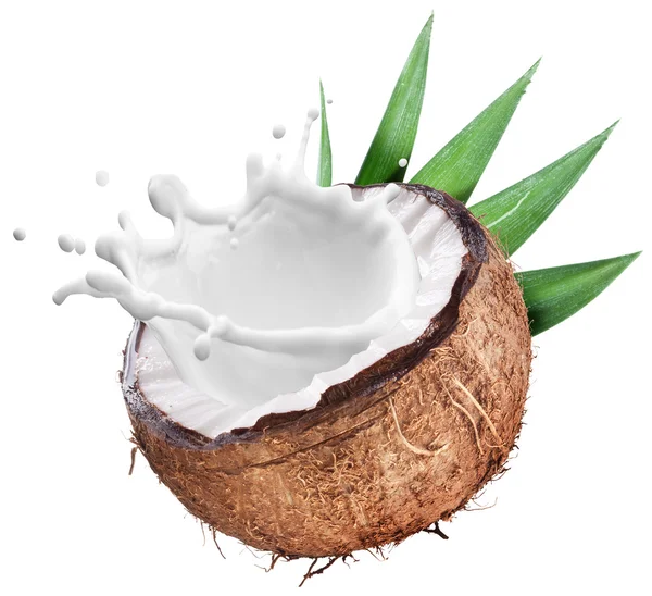 Noix de coco avec éclaboussure de lait à l'intérieur. — Photo